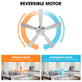 Parrot Uncle 52 Inch Contemporary Chrome Ceiling Fan with Integrated LED Lights and Remote Control